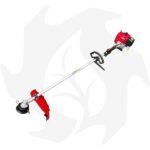 Decespugliatore Planty PJ53S