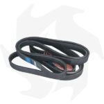 Cinghie per frantumatore ad impatto McCloskey I44R