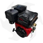 Motore Planty 12HP 420cc avviamento elettrico - immagine 3