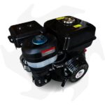 Motore benzina Toro Motori 9Hp 270cc cilindrico 25.4mm - immagine 6