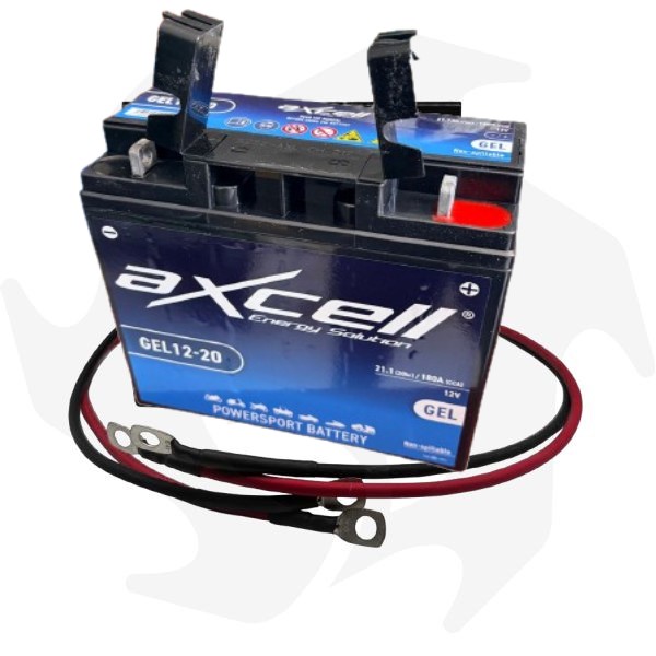 Batteria e cavi per avviamento motori diesel e benzina fino a 13HP Batteria e cavi per avviamento motori diesel e benzina fino a 13HP - immagine 1