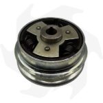 Frizione centrifuga da 130mm per albero cilindrico 19mm