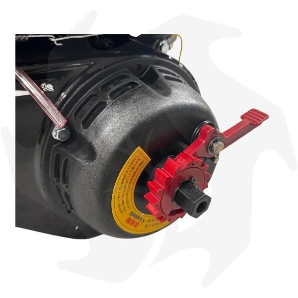 avviamento facilitato con precarica a molla per motori benzina 2