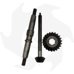 Coppia conica Z9/22 + albero porta fresa adattabile Ferrari 72 - 73 - immagine 3