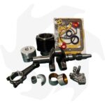 Kit completo revisione motore diesel Lombardini 6LD360 6LD400
