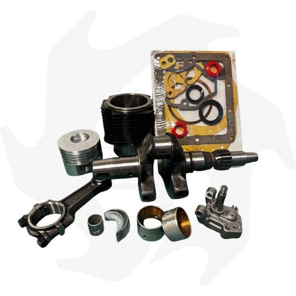 Kit completo revisione motore diesel Lombardini 6LD360 6LD400 (1) Kit completo revisione motore diesel Lombardini 6LD360 6LD400 - immagine 1
