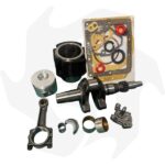 Kit completo revisione motore diesel Lombardini 6LD360 6LD400 - immagine 2