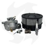 Kit carburatore, filtro aria, puntine, condensatore e candela per motori Intermotor Lombardini LA400 - LA490