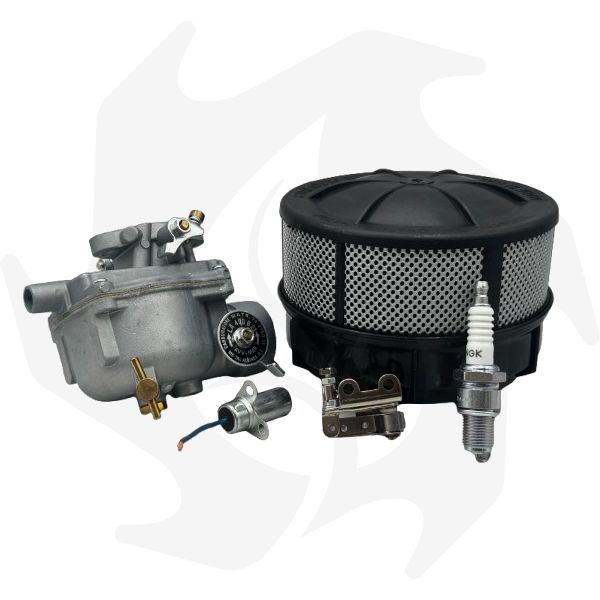 Kit carburatore, filtro aria, puntine, condensatore e candela per motori Intermotor Lombardini LA400 - LA490 (1) Kit carburatore, filtro aria, puntine, condensatore e candela per motori Intermotor Lombardini LA400 - LA490 - immagine 1