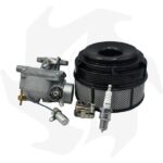 Kit carburatore, filtro aria, puntine, condensatore e candela per motori Intermotor Lombardini LA400 - LA490 - immagine 2