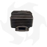Cilindro e pistone per motore Planty PL620 - immagine 4