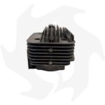Cilindro e pistone per motore Planty PL620 - immagine 5