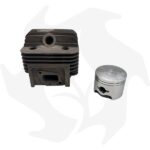 Cilindro e pistone per motore Planty PL620 - immagine 6