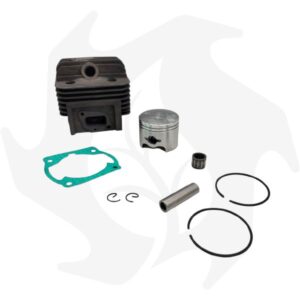 Cilindro e pistone per motore Planty PL620
