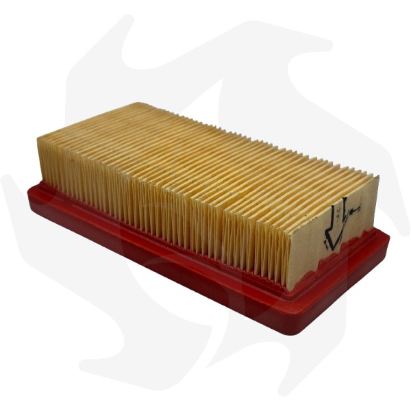 Filtro aria per motore Tecnumseh 23410061 Filtro aria per motore Tecnumseh 23410061